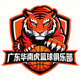 广东华南虎篮球俱乐部标志